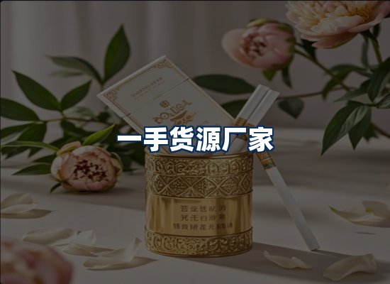 专业团队办公环境